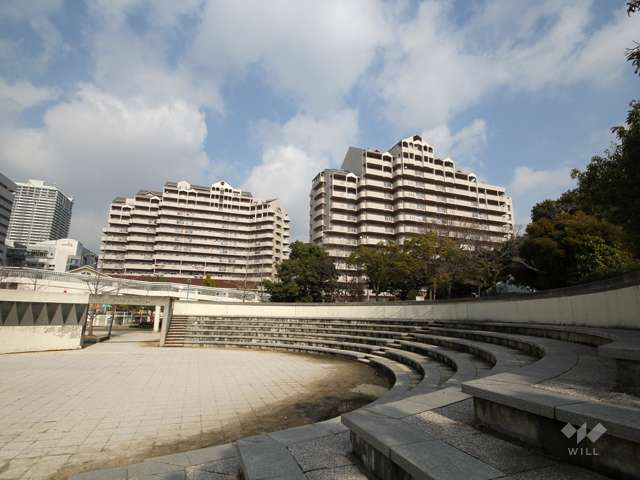 向洋東公園の写真