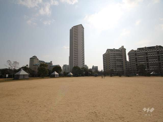 向洋東公園の写真