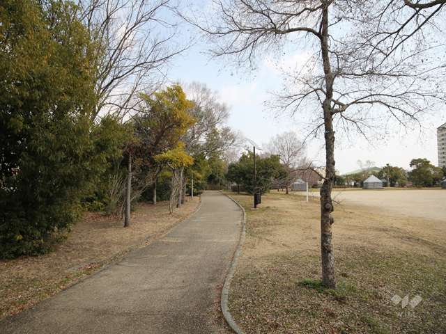 向洋東公園の写真