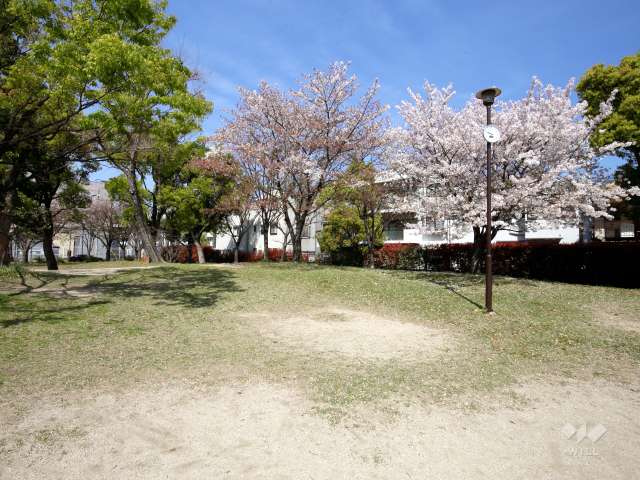 本庄中央公園の写真