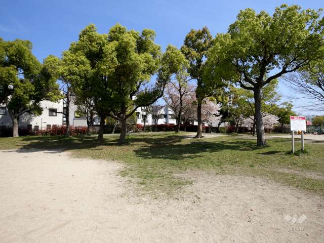 本庄中央公園の写真