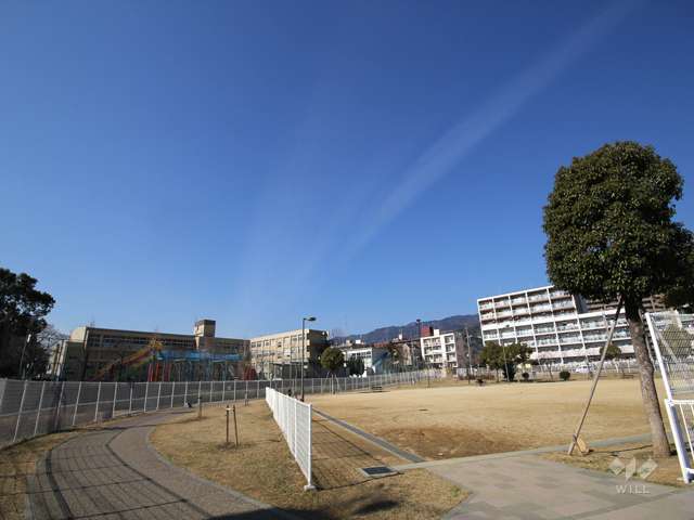 小寄公園の写真