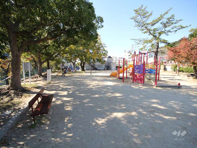 森公園の写真