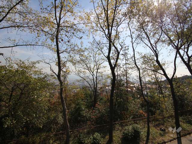 渦森展望台公園の写真