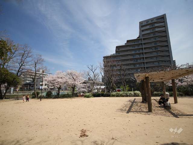 岩屋公園の写真