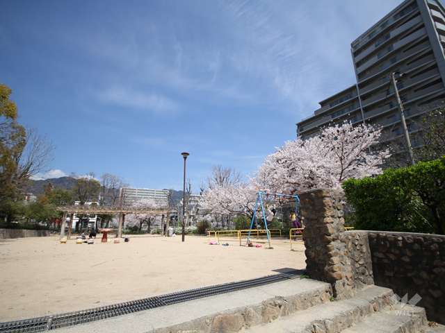 岩屋公園の写真