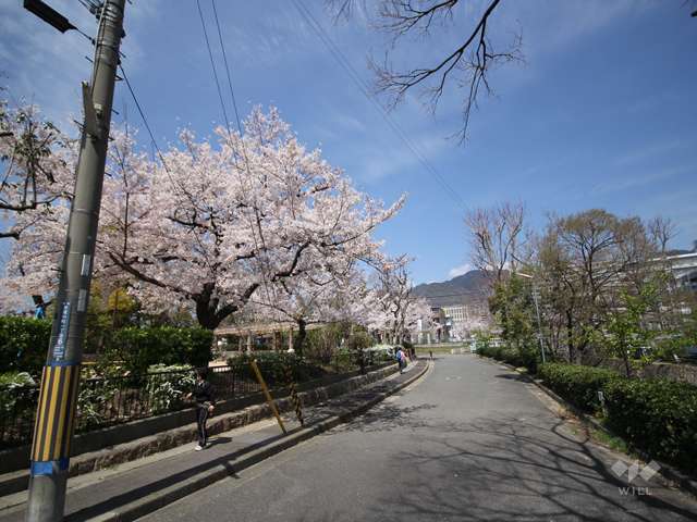 岩屋公園の写真