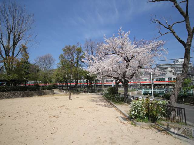 岩屋公園の写真