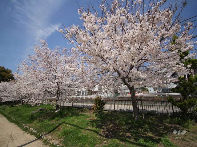 岩屋公園の写真