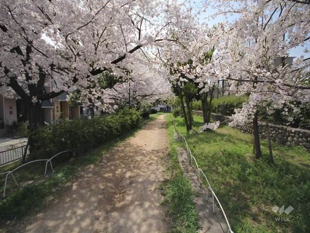 西灘公園の写真