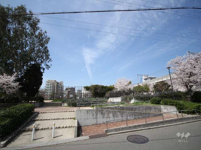 西灘公園の写真