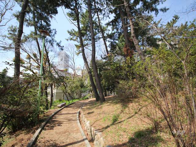 求女塚西公園の写真