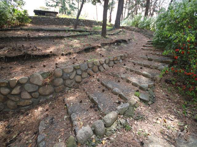 求女塚西公園の写真