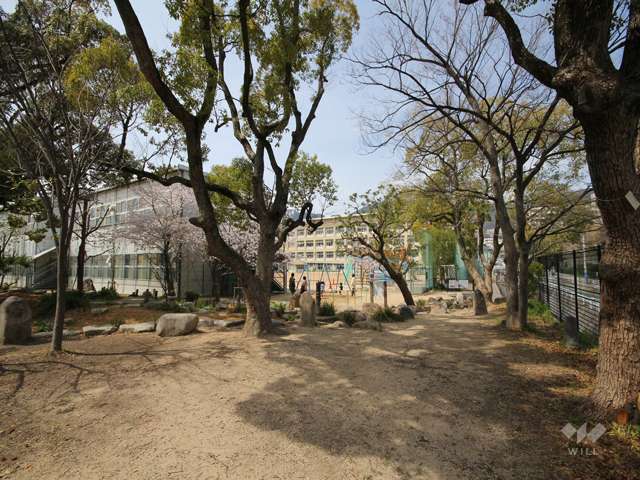 成徳公園の写真