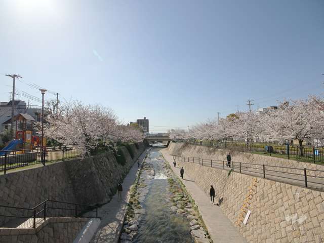 都賀川公園の写真
