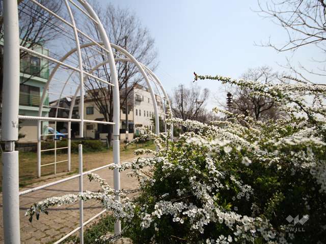 都賀川公園の写真