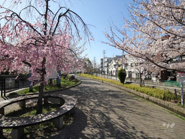 都賀川公園の写真