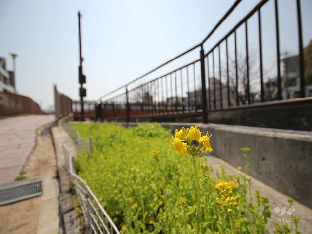 都賀川公園の写真