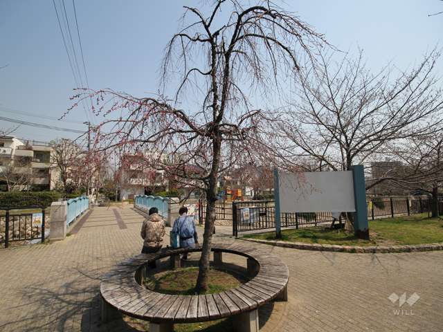 都賀川公園の写真