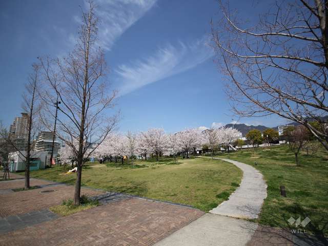 西郷川河口公園の写真