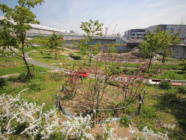 西郷川河口公園の写真