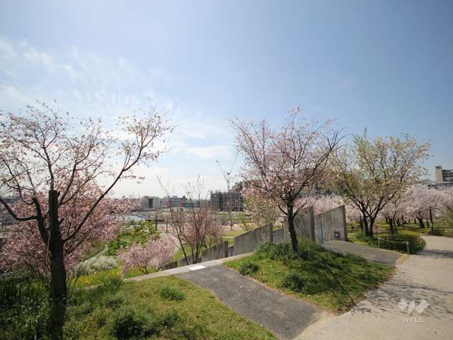 西郷川河口公園の写真