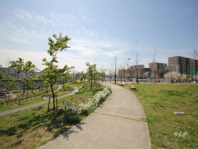 西郷川河口公園の写真