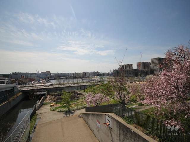 西郷川河口公園の写真