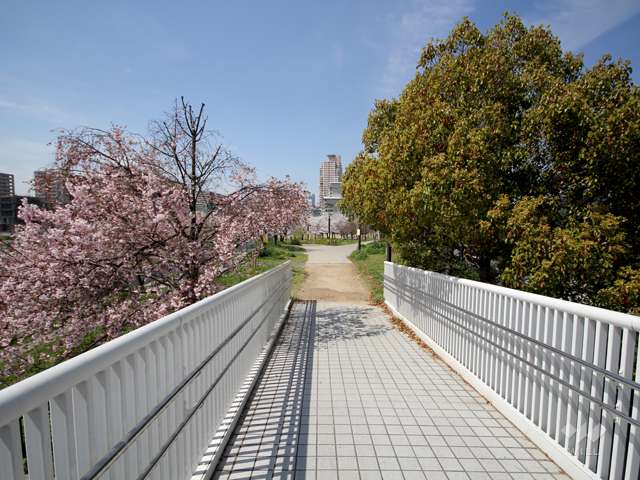 西郷川河口公園の写真