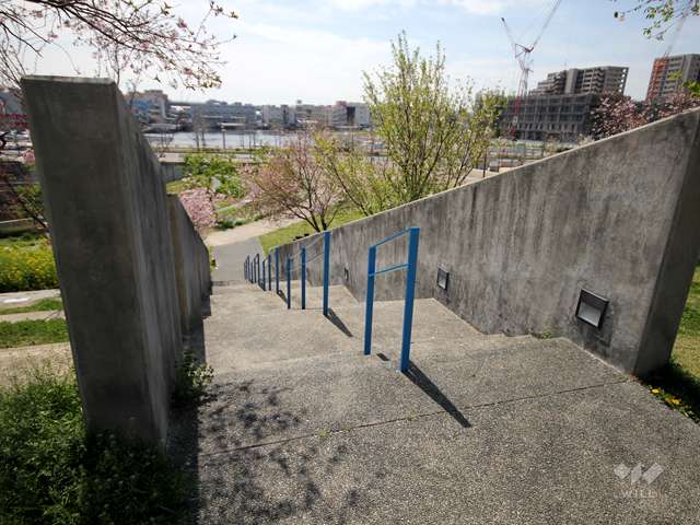 西郷川河口公園の写真