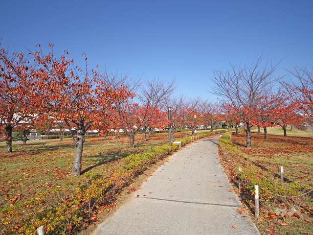 西郷川河口公園の写真