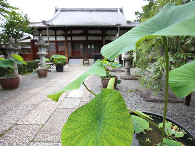 アジサイ寺 頼光寺の写真