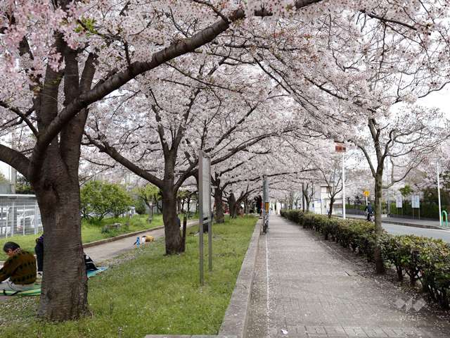 水尾公園の写真