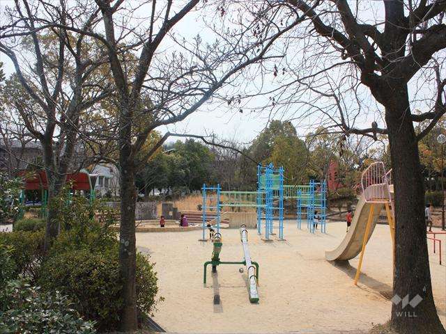 南平台中央公園の写真