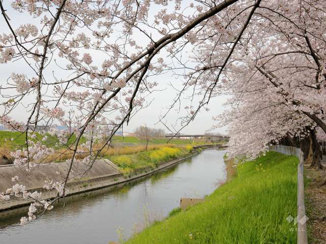 新幹線公園の写真