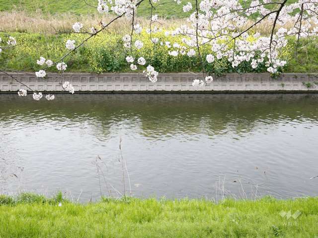 新幹線公園の写真