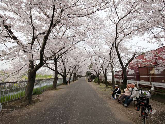 新幹線公園の写真