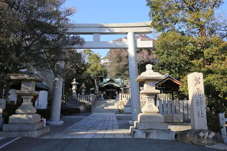 芦屋神社の写真