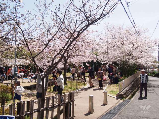 岡本南公園の写真