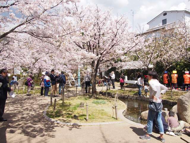 岡本南公園の写真