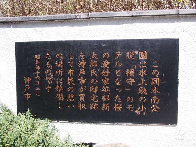 岡本南公園の写真