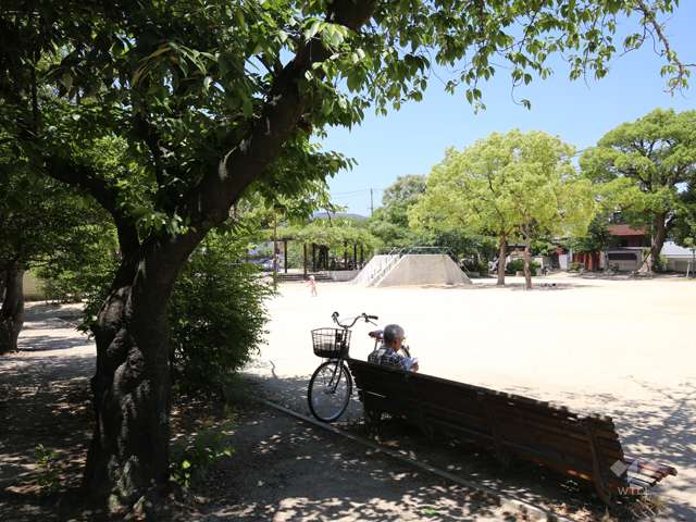 御代開公園の写真