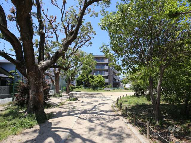 御代開公園の写真