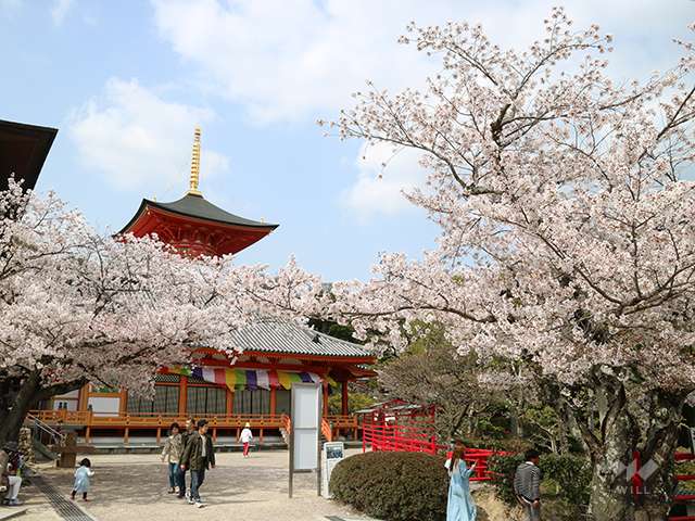 中山寺の写真