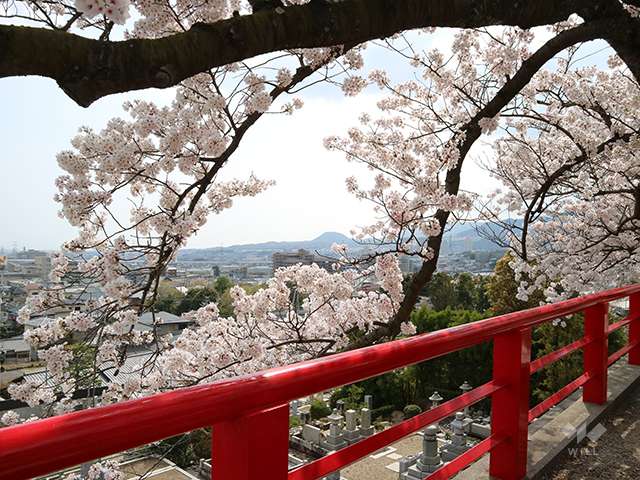 中山寺の写真