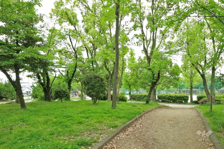 吹上公園の写真