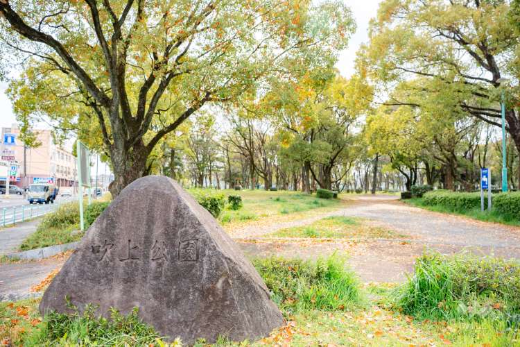 吹上公園の写真