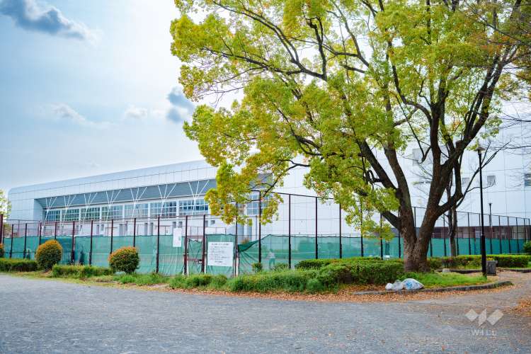 吹上公園の写真
