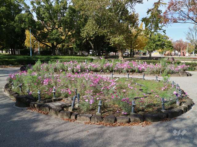 千種公園の写真