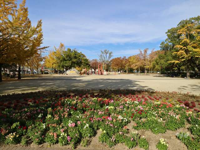 千種公園の写真